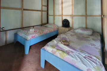 Papagayo Room Corcovado