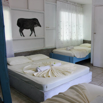 Low cost rooms Drake Bay Costa Rica